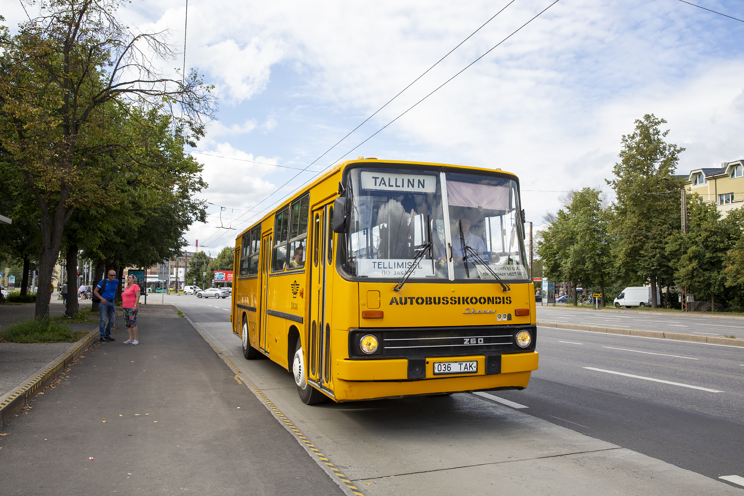 Image of Ikarus 260.37