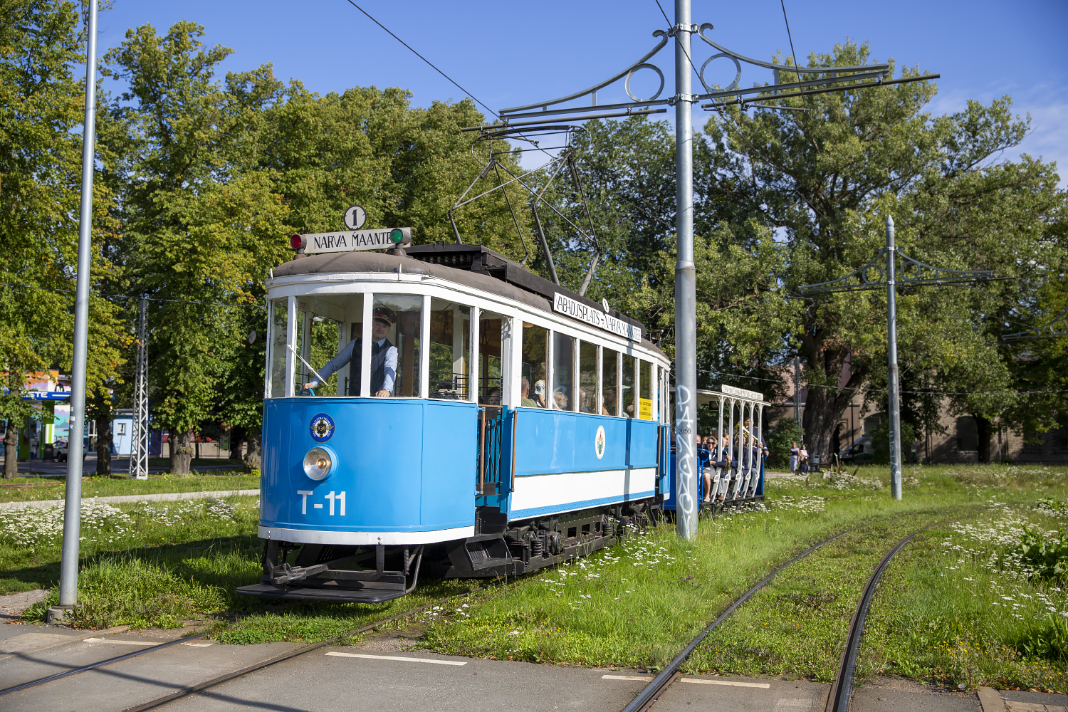 Image of T-11 Trammitrust