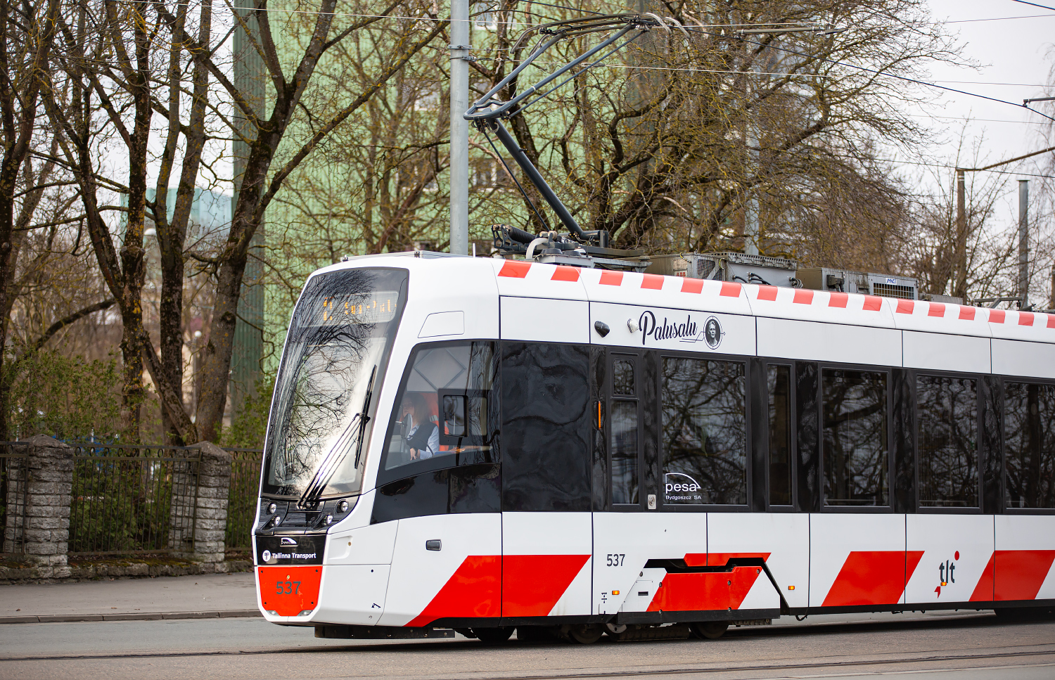 Image of 537 Palusalu