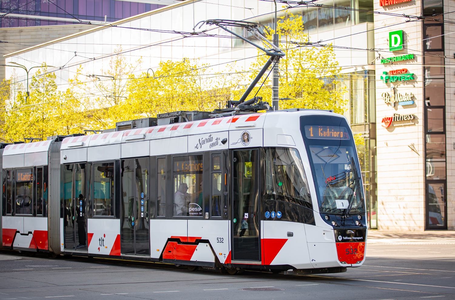 Image of 532 „Vallatud kurvid“