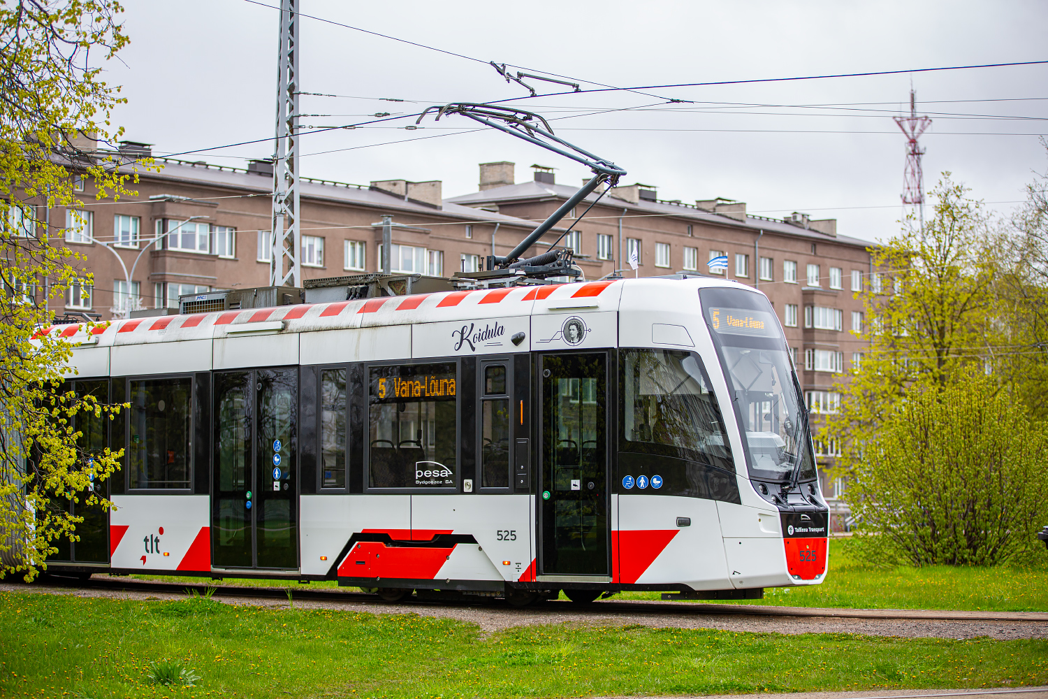 Image of 525 Koidula