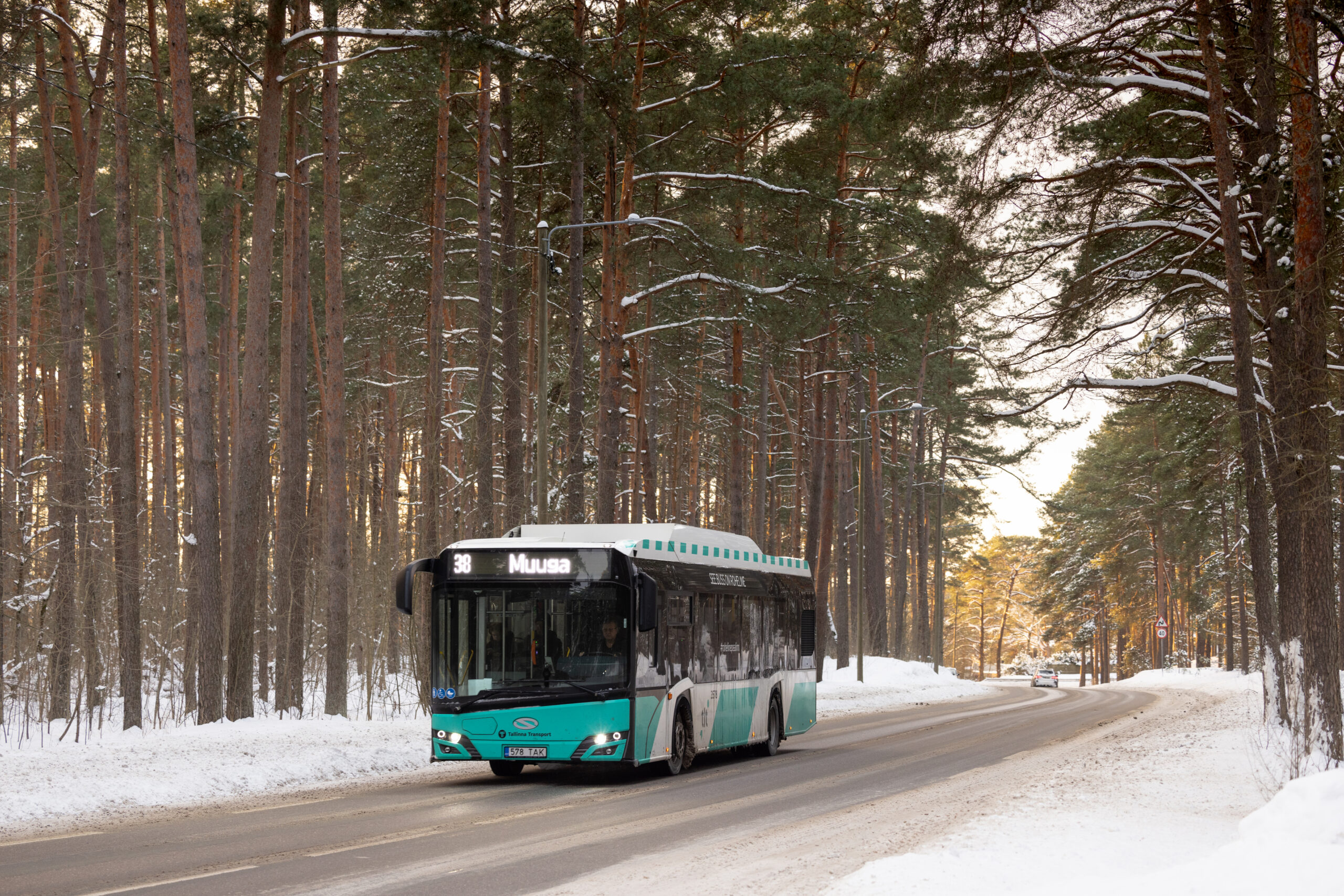 Tallinna Linnatranspordi CO₂ heide vähenes 2025. aastal Naissaare metsa aastase sidumisvõime jagu