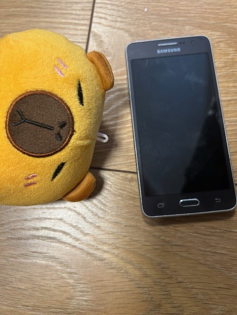 Leitud ese: Elektroonika, Muu — ID: 73548