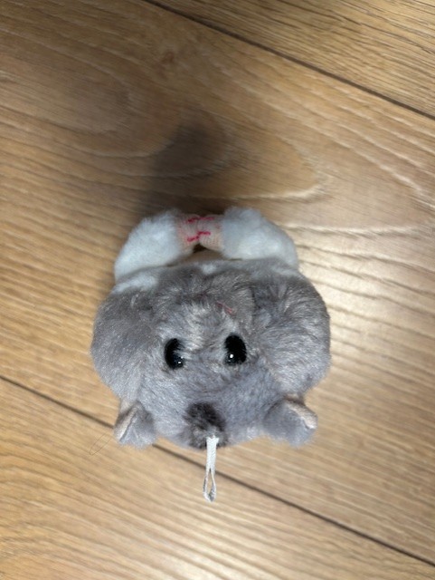 Leitud ese: Muu — ID: 73882