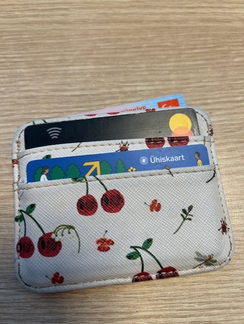 Leitud ese: Rahakotid, dokumendid — ID: 74030