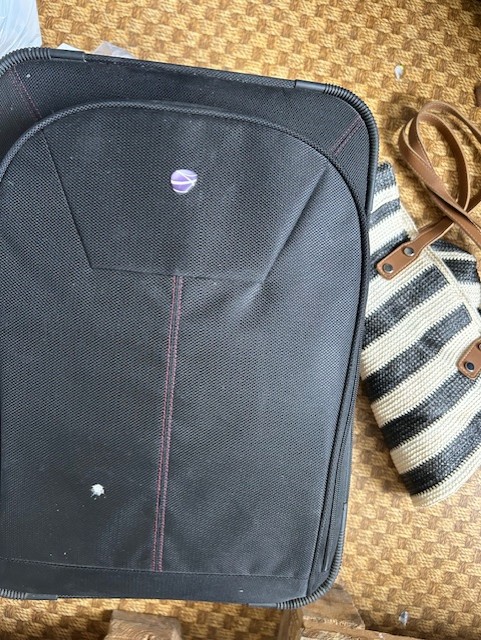 Leitud ese: Kotid — ID: 74139